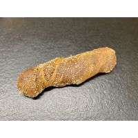 Frischbackbrot Wurzelbrot rustico